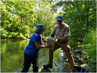 Upper Blackstone Staff installing DO Sonde